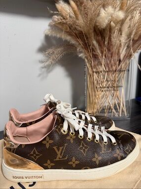 Louis Vuitton Brown Monogram